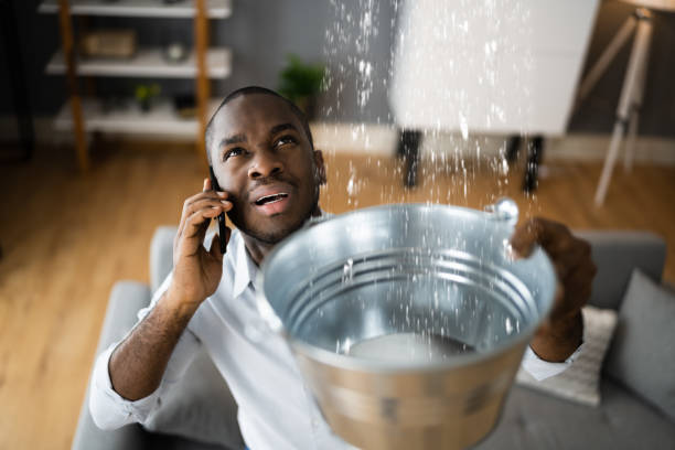 Best Flood damage cleanup  in Kingston, RI
