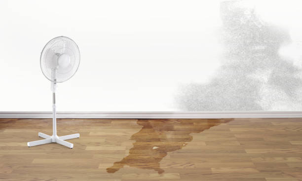 24/7 water damage repair in Kingston, RI