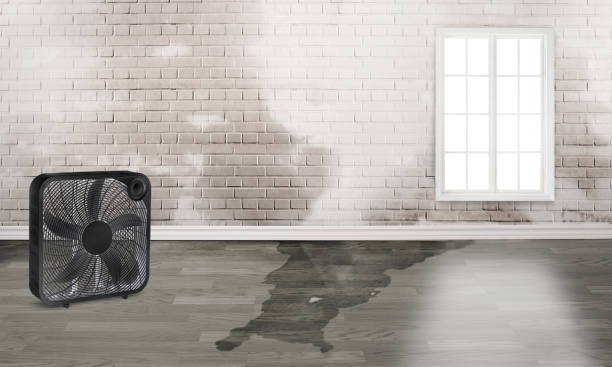 Sewage cleanup and water damage restoration in Kingston, RI